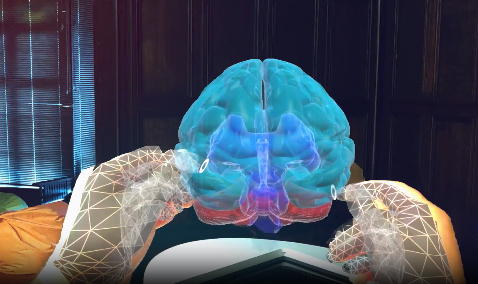 HoloLens brain